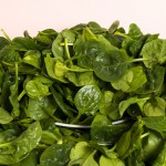 spinach_1